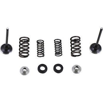Moose Offroad Exhaust Valve and Spring Kit Valve and Spring Kit - Honda CRF250L