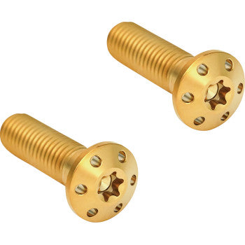 Brake Caliper Mounting Bolts