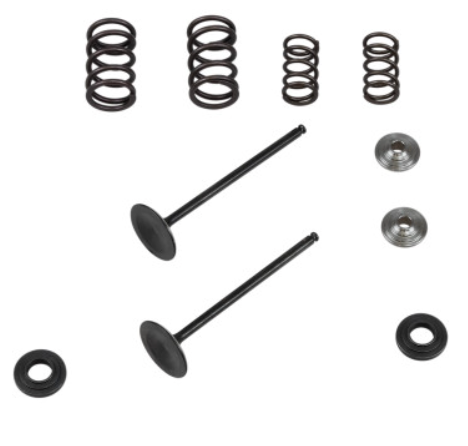 Intake Stainless Conversion Valve and Spring Kit