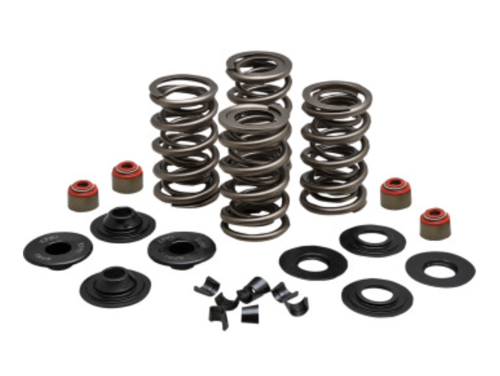 Racing Valve Spring Kit